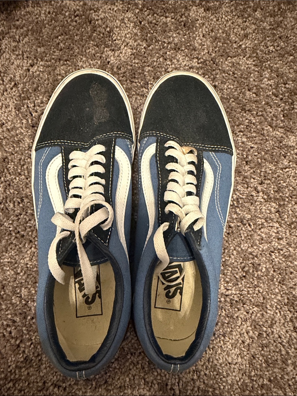 Vans Men’s Blue & Black Low-Top Skate Sneakers